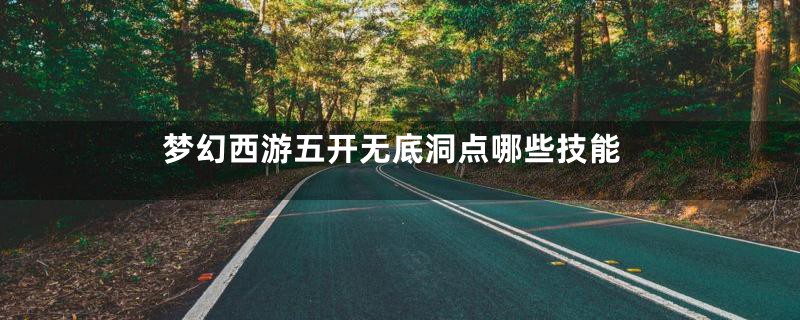 梦幻西游五开无底洞点哪些技能