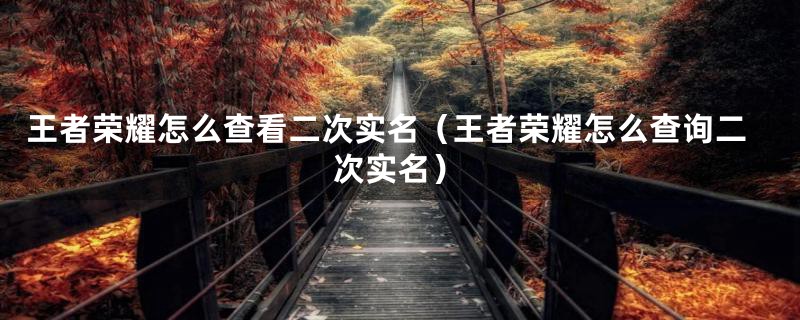 王者荣耀怎么查看二次实名（王者荣耀怎么查询二次实名）