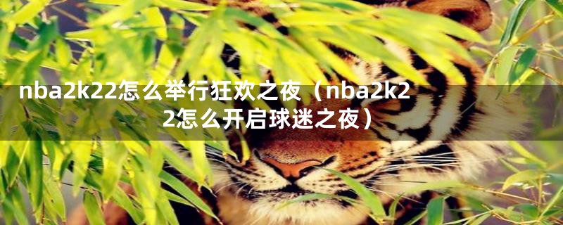 nba2k22怎么举行狂欢之夜(nba2k22怎么开启球迷之夜)