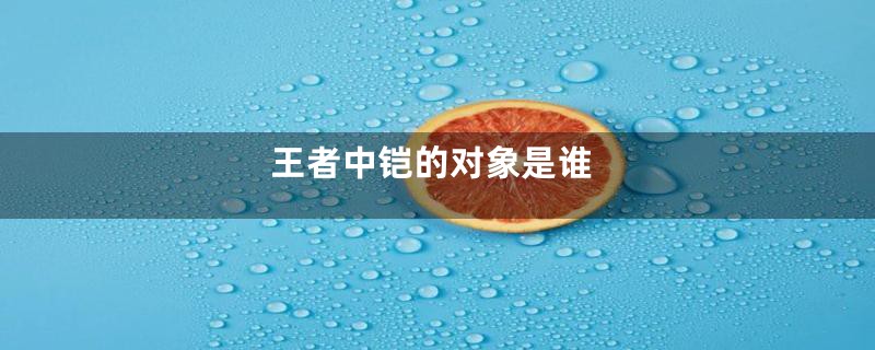 王者中铠的对象是谁