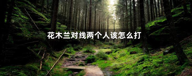 花木兰对线两个人该怎么打