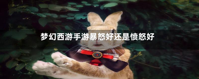 梦幻西游手游暴怒好还是愤怒好