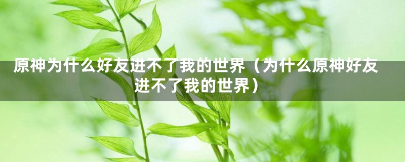 原神为什么好友进不了我的世界(为什么原神好友进不了我的世界)