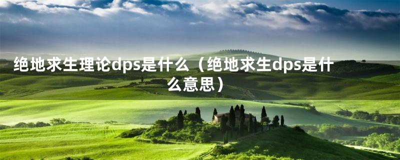 绝地求生理论dps是什么(绝地求生dps是什么意思)