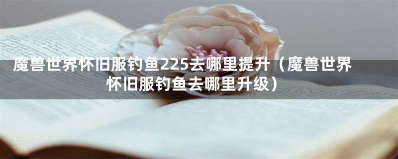 魔兽世界怀旧服钓鱼225去哪里提升（魔兽世界怀旧服钓鱼去哪里升级）