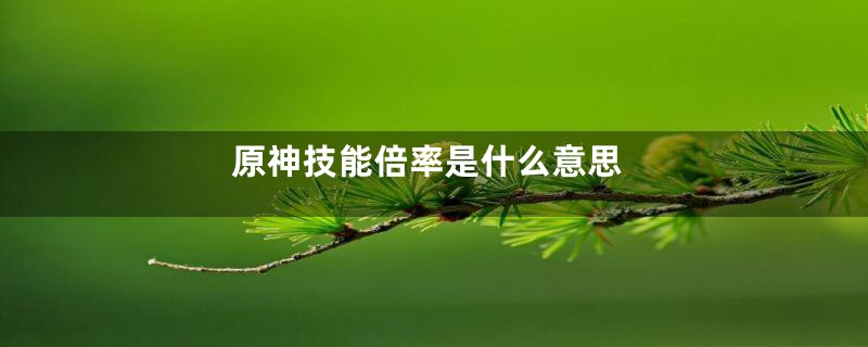 原神技能倍率是什么意思