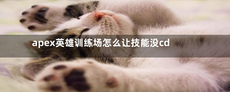 apex英雄训练场怎么让技能没cd