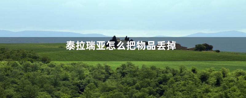 泰拉瑞亚怎么把物品丢掉
