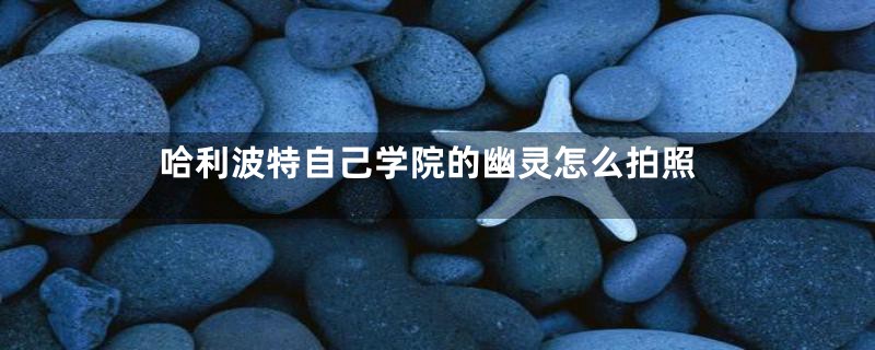 哈利波特自己学院的幽灵怎么拍照