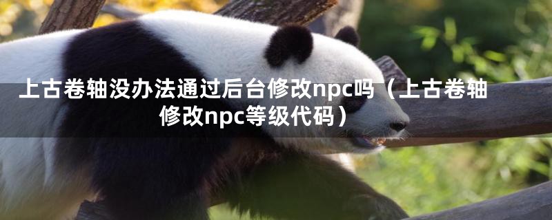 上古卷轴没办法通过后台修改npc吗（上古卷轴修改npc等级代码）