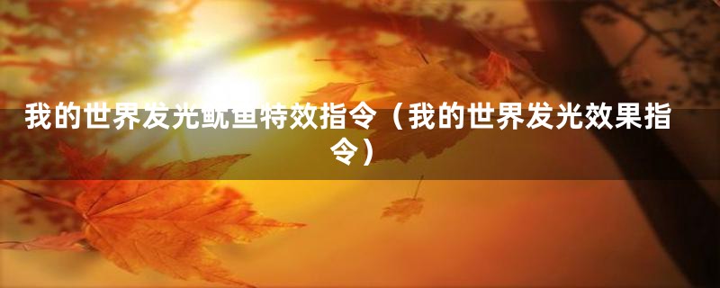我的世界发光鱿鱼特效指令（我的世界发光效果指令）