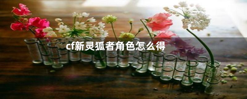 cf新灵狐者角色怎么得