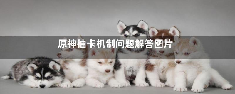 原神抽卡机制问题解答图片