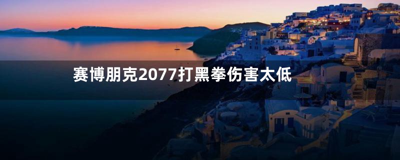赛博朋克2077打黑拳伤害太低