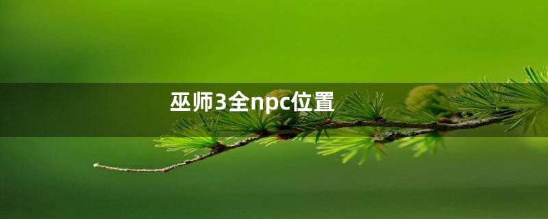 巫师3全npc位置