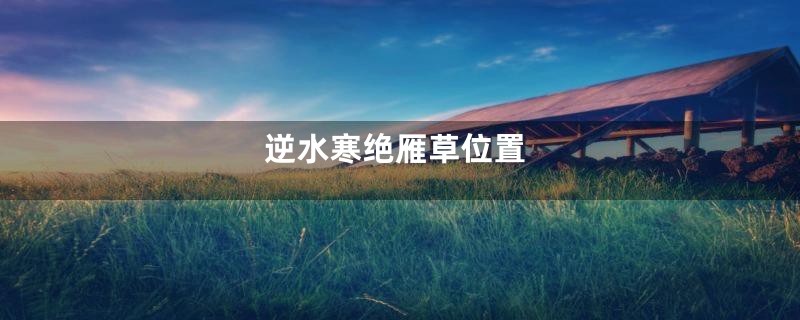 逆水寒绝雁草位置