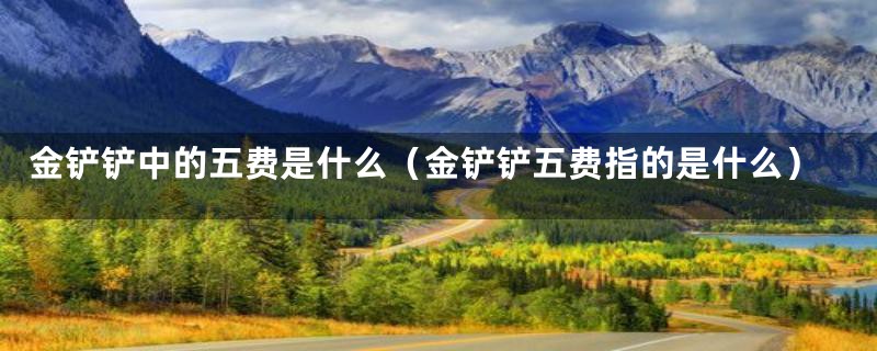 金铲铲中的五费是什么(金铲铲五费指的是什么)