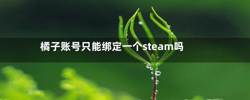 橘子账号只能绑定一个steam吗