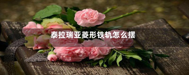 泰拉瑞亚菱形铁轨怎么摆