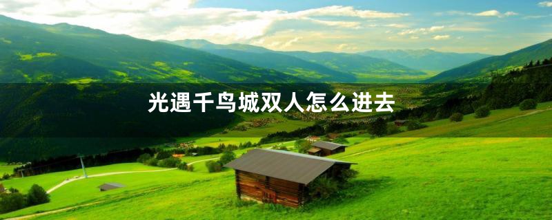 光遇千鸟城双人怎么进去