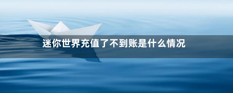 迷你世界充值了不到账是什么情况