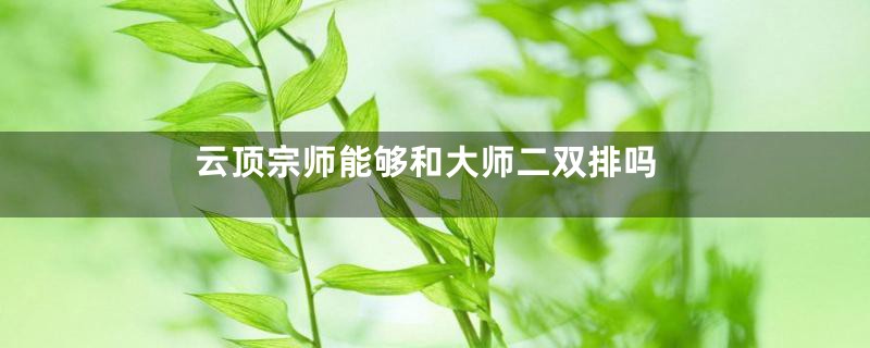 云顶宗师能够和大师二双排吗