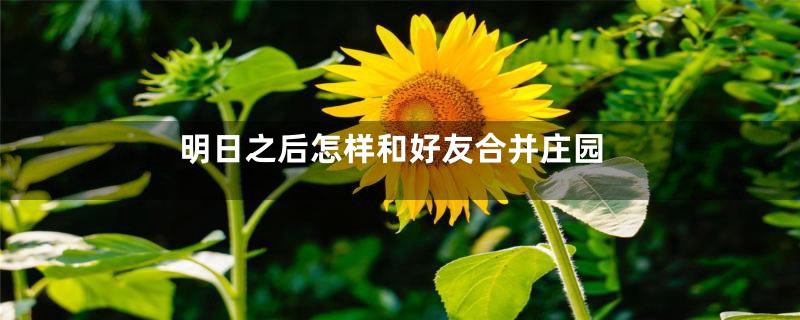 明日之后怎样和好友合并庄园