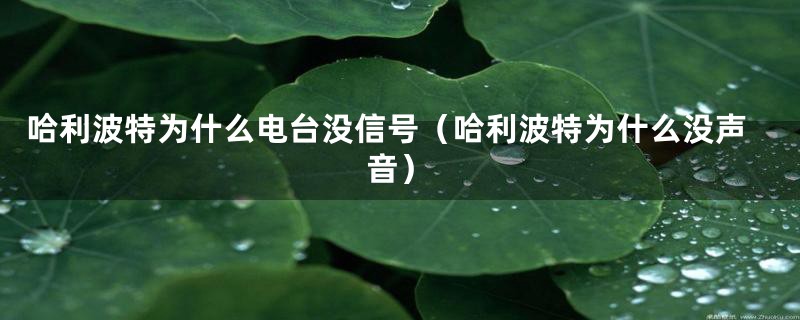 哈利波特为什么电台没信号(哈利波特为什么没声音)