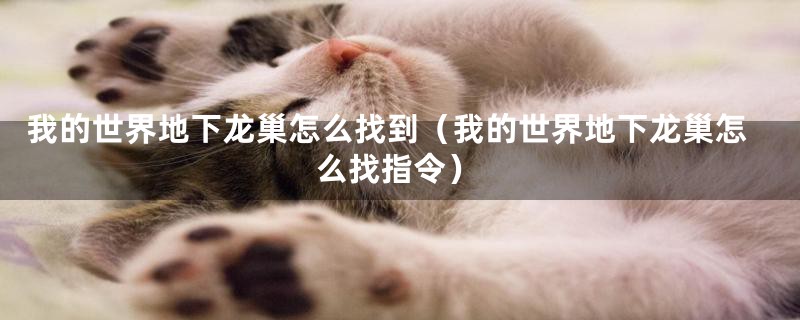 我的世界地下龙巢怎么找到(我的世界地下龙巢怎么找指令)