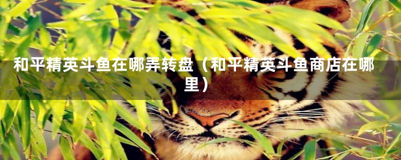 和平精英斗鱼在哪弄转盘(和平精英斗鱼商店在哪里)