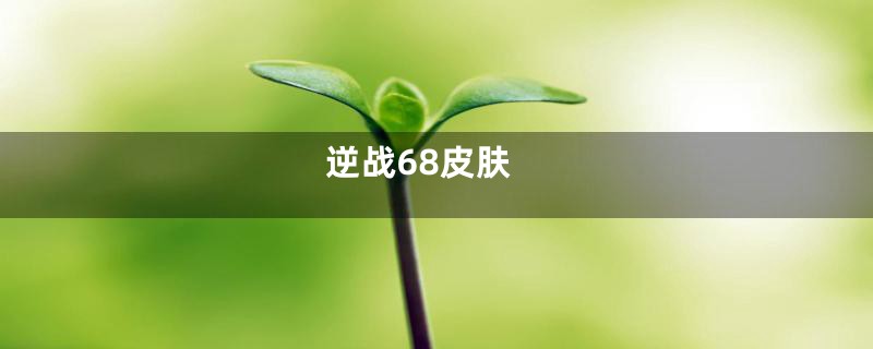 逆战68皮肤