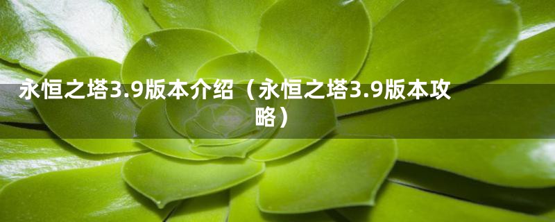 永恒之塔3.9版本介绍（永恒之塔3.9版本攻略）