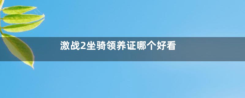激战2坐骑领养证哪个好看