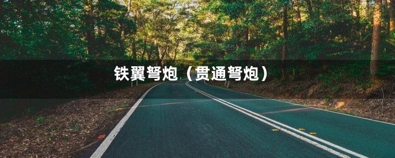 铁翼弩炮（贯通弩炮）