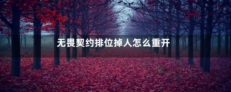 无畏契约排位掉人怎么重开