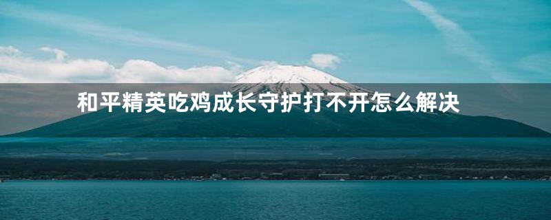 和平精英吃鸡成长守护打不开怎么解决
