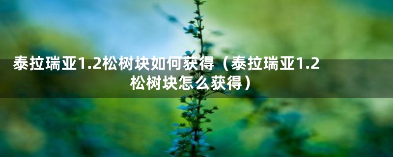 泰拉瑞亚1.2松树块如何获得(泰拉瑞亚1.2松树块怎么获得)
