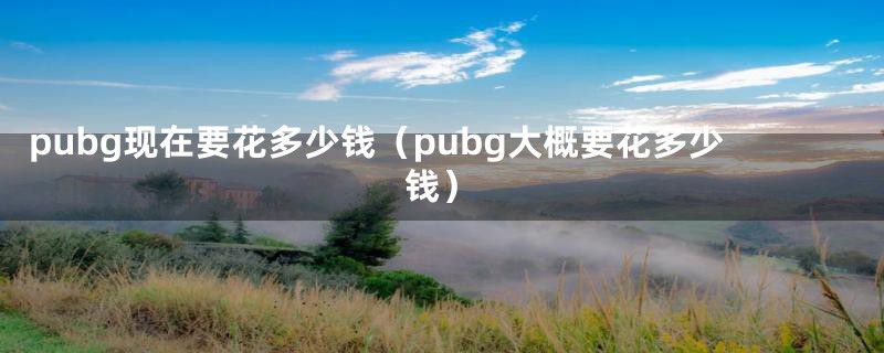 pubg现在要花多少钱(pubg大概要花多少钱)