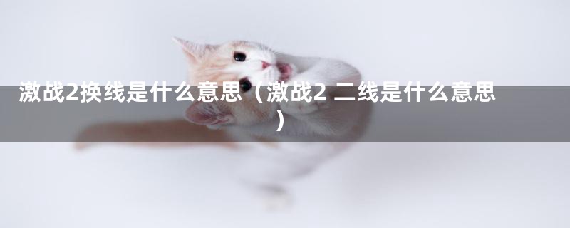 激战2换线是什么意思（激战2 二线是什么意思）
