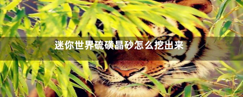 迷你世界硫磺晶砂怎么挖出来