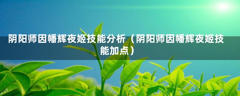 阴阳师因幡辉夜姬技能分析(阴阳师因幡辉夜姬技能加点)