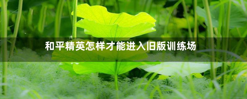 和平精英怎样才能进入旧版训练场