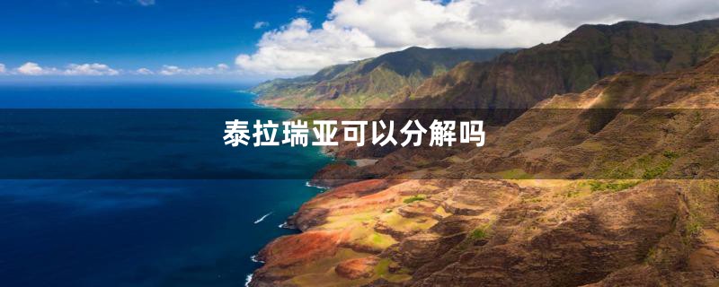 泰拉瑞亚可以分解吗