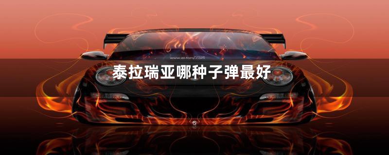 泰拉瑞亚哪种子弹最好