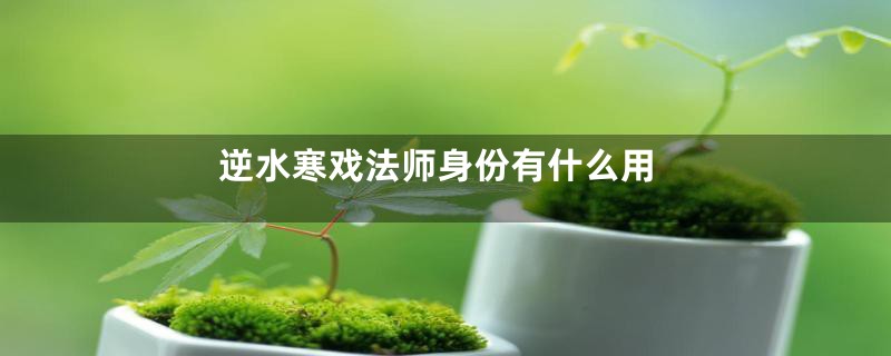 逆水寒戏法师身份有什么用