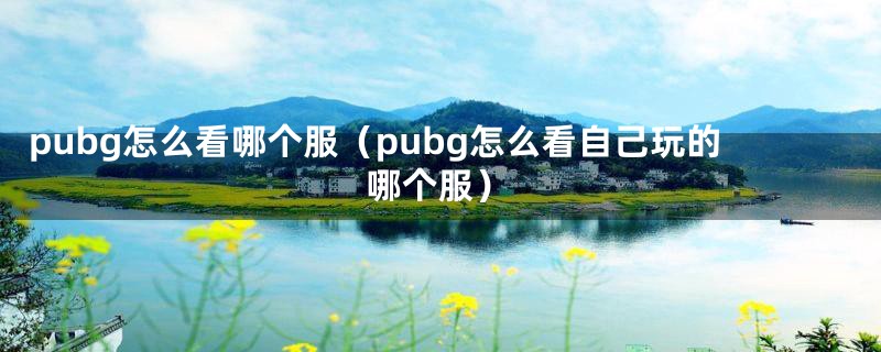 pubg怎么看哪个服（pubg怎么看自己玩的哪个服）