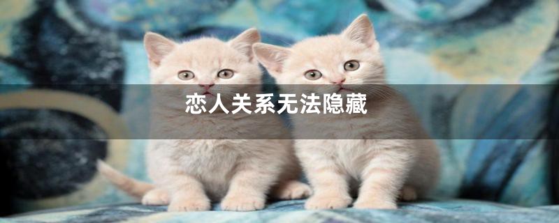 恋人关系无法隐藏