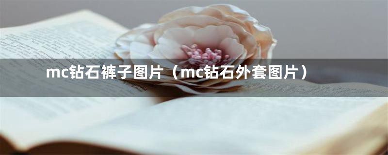 mc钻石裤子图片(mc钻石外套图片)