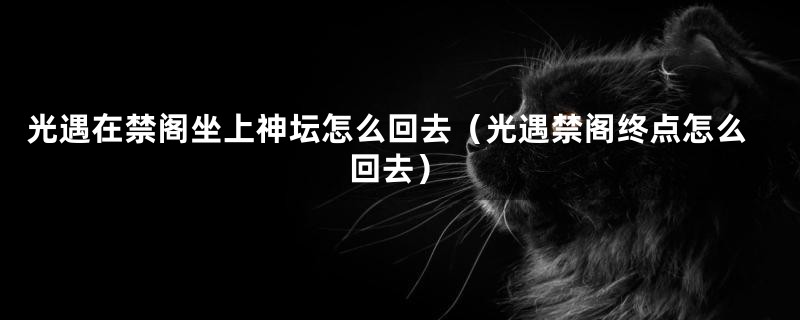 光遇在禁阁坐上神坛怎么回去(光遇禁阁终点怎么回去)