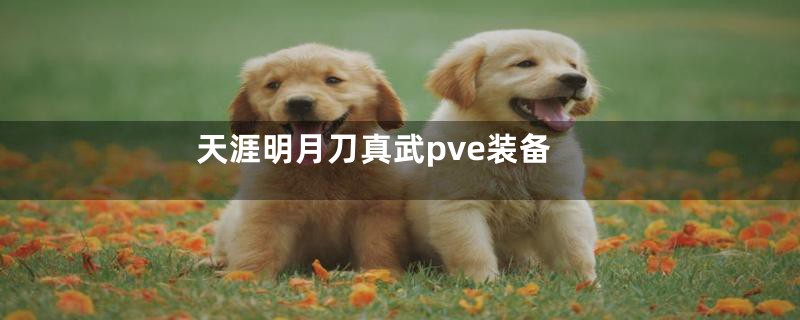 天涯明月刀真武pve装备